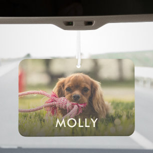 Ambientador Personalizado Uno De Tipo De Foto Y Mascotas De No