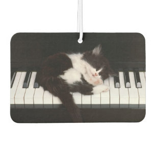 Ambientador Piano Kitten Air Freshener