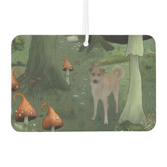 Ambientador Pilzwald (Anverso)