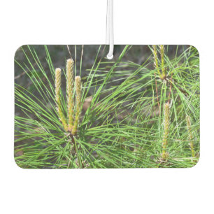 Ambientador Pine Needles por Kenneth Yoncich