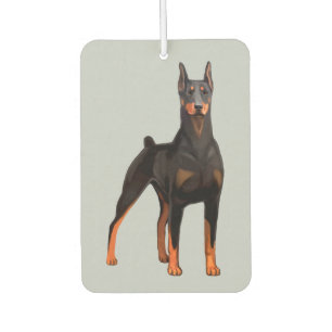 Ambientador Pinscher del Doberman