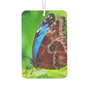 Ambientador Pintura de mariposa