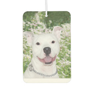 Ambientador pitbull sonriente
