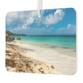 Ambientador Playa de Anse Canot en Marie-Galante