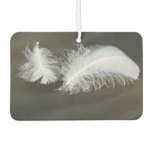 Ambientador Plumas de oca flotantes