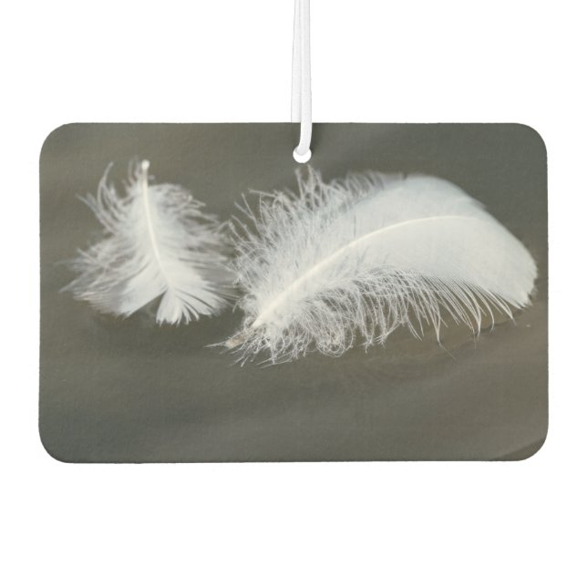Ambientador Plumas de oca flotantes (Anverso)