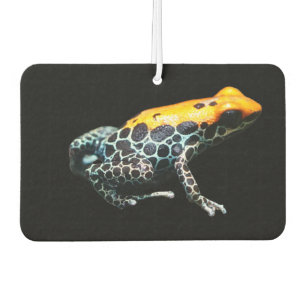 Ambientador Poison Dart Frog