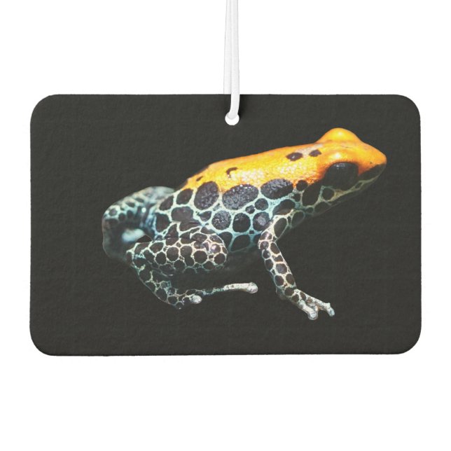 Ambientador Poison Dart Frog (Anverso)