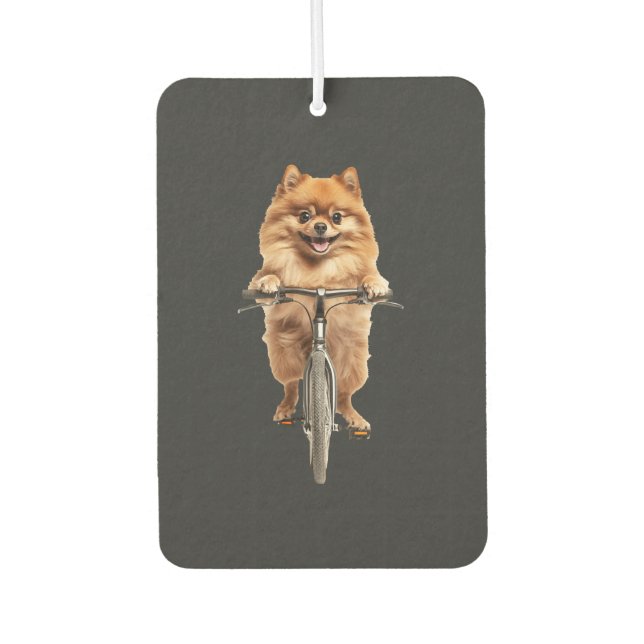 Ambientador Pomerania (Anverso)