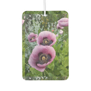 Ambientador Poppy Púrpura Poppies Flor Aire Freshener