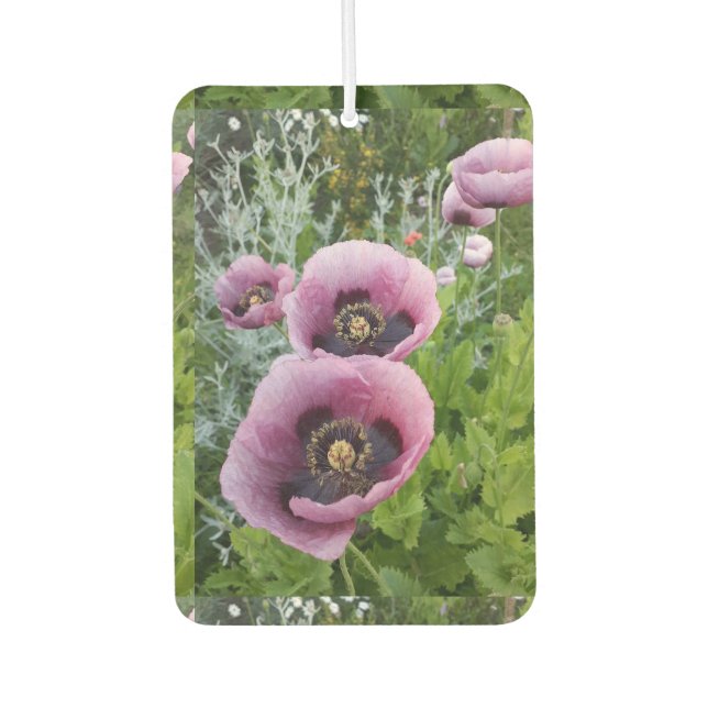 Ambientador Poppy Púrpura Poppies Flor Aire Freshener (Anverso)