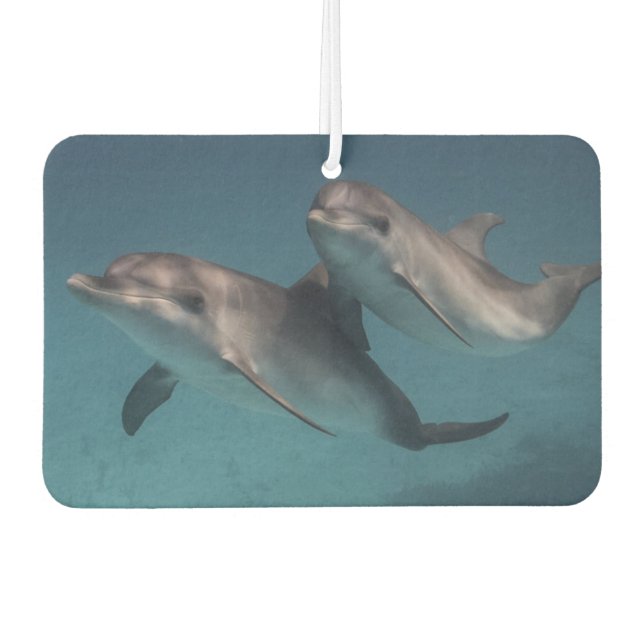 Ambientador Pose Jugador (Anverso)