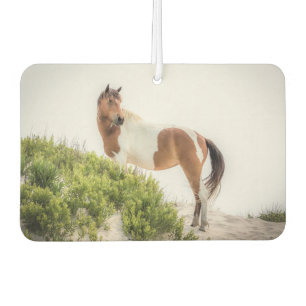 Ambientador Protector de Dunes Air Freshener