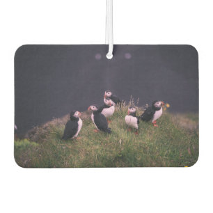 Ambientador Puffins atlánticos