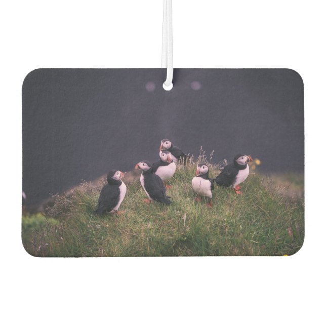 Ambientador Puffins atlánticos (Anverso)