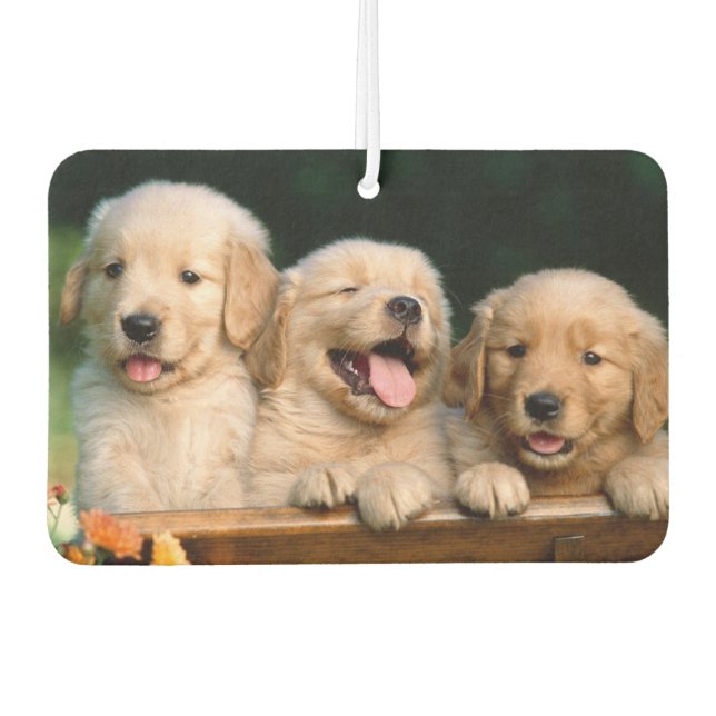 Ambientador Puppies Air Freshener (Anverso)