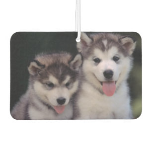 Ambientador Puppies Air Freshener
