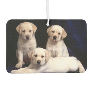 Ambientador Puppies Air Freshener