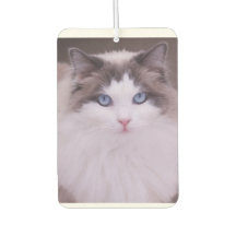 Ragdoll Cat Personalizada Photo Air Freshener