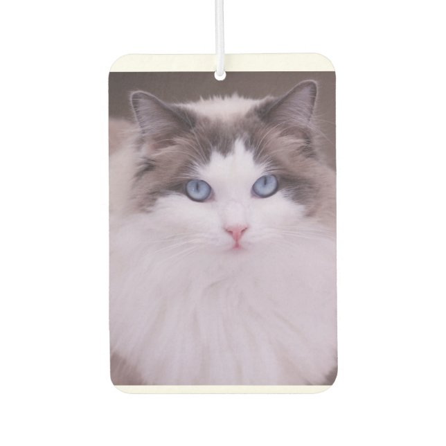 Ambientador Ragdoll Cat Personalizada Photo Air Freshener (Anverso)