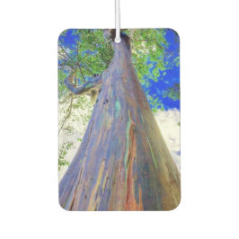 Ambientador Raqinbow Eucalyptus Air Freshener
