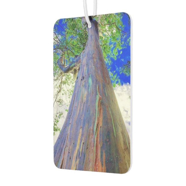 Ambientador Raqinbow Eucalyptus Air Freshener (Izquierda)