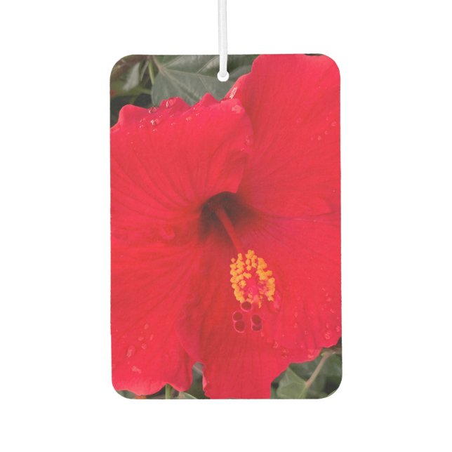 Ambientador Red Hibiscus Air Frehener (Anverso)
