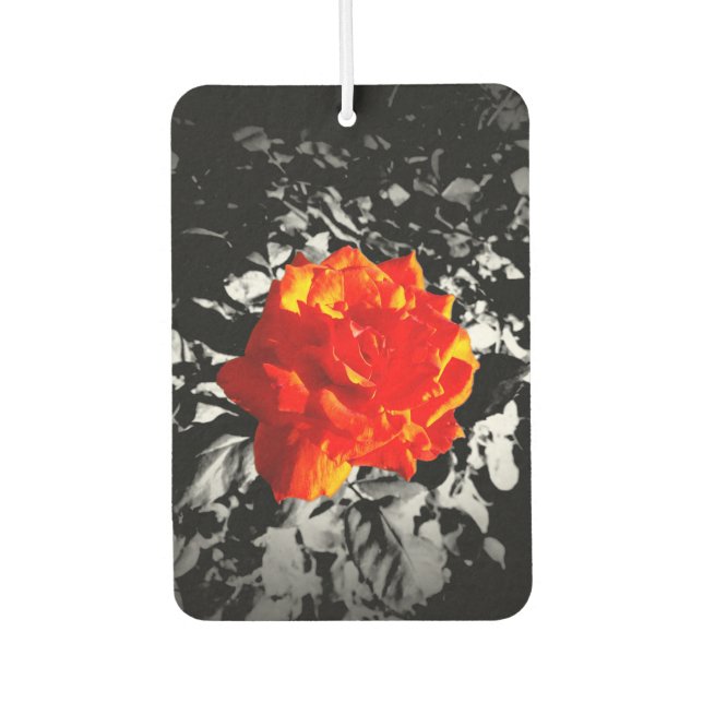 Ambientador Red rose Rectangle Air Freshener (Anverso)