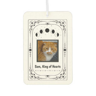 Ambientador Regalo Divertido para Amantes de Gatos Personaliza