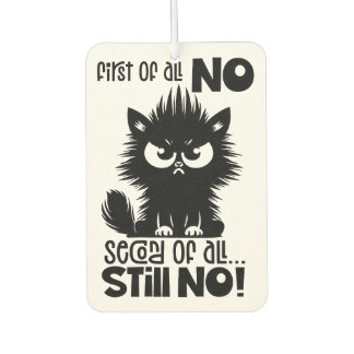 Ambientador Regalo para amantes de gatos divertido ante todo