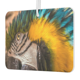 Ambientador Retrato de macao azul y amarillo