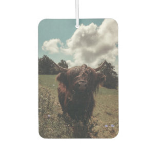 Ambientador Retro vintage de vacas de raza negra escocesa