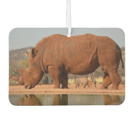 Ambientador Rinoceronte con barro en foto de piel