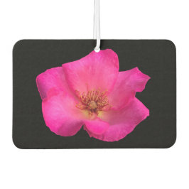 Ambientador Rosa bolígrafo