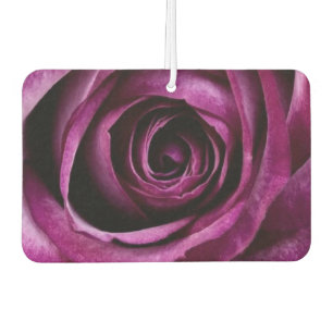 Ambientador rosa púrpura