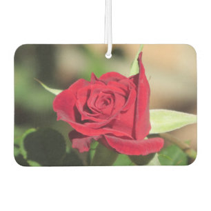Ambientador Rosa rojo