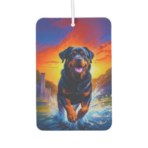 Ambientador Rottweiler