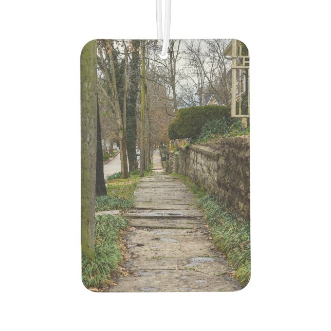 Ambientador Ruta de acceso sin niveles (Reverso)