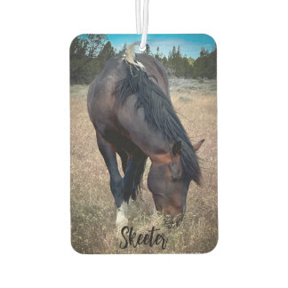 Ambientador S Steens Stallions Air Freshener