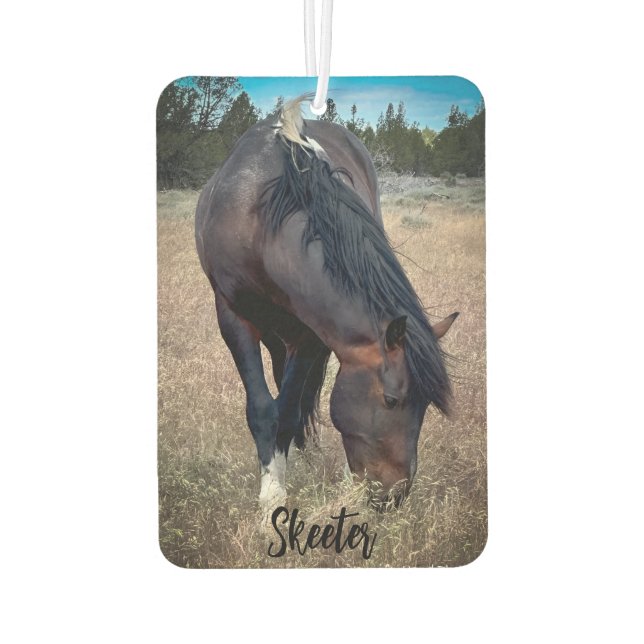 Ambientador S Steens Stallions Air Freshener (Reverso)