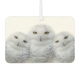 Ambientador Sabiduría soñadora de lechuzas nevadas