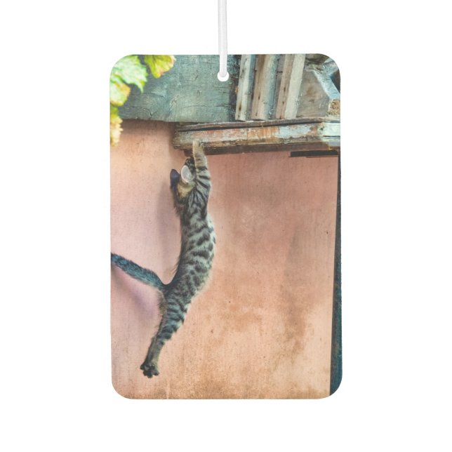 Ambientador Salto gatito (Anverso)