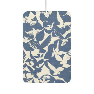 Ambientador satomi motorsport x pigeons