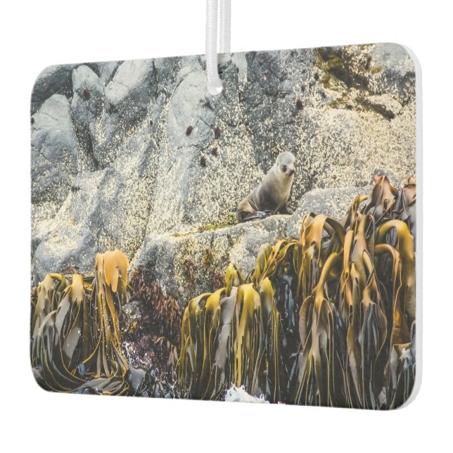 Ambientador Sello De Piel Joven En La Roca (Izquierda)