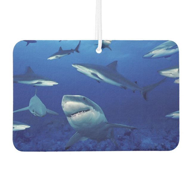 Ambientador Sharks Air Freshener (Anverso)