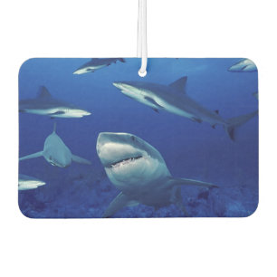 Ambientador Sharks Air Freshener