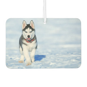 Ambientador Siberian Husky Air Freshener