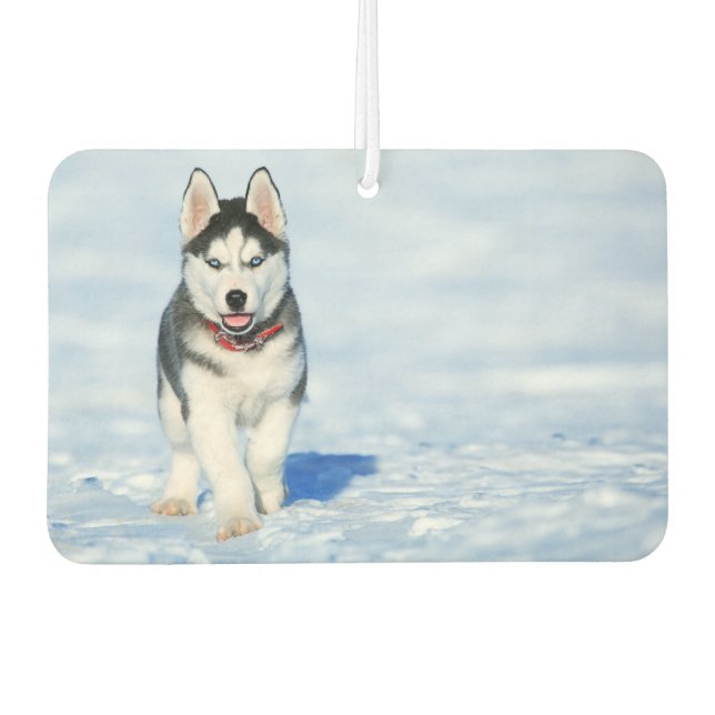 Ambientador Siberian Husky Air Freshener (Anverso)
