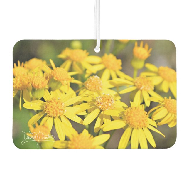 Ambientador Simply Yellow (Anverso)