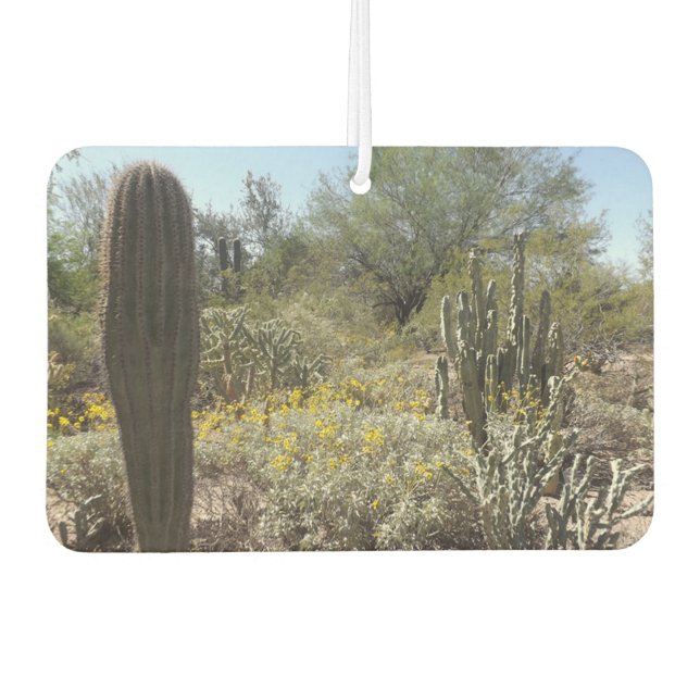 Ambientador Sonoran Desert Air Freshener (Anverso)